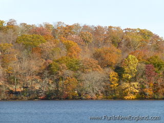 Chester Cedar Lake