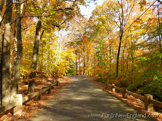 Haddam Cockaponset State Forest