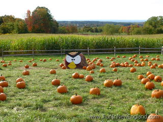 Ellington Johnny Appleseed's Farm