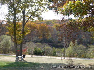 Montville The Dinosaur Place at Nature’s Art Village