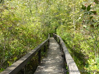 Rocky Hill Dinosaur State Park and Arboretum