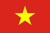 Vietnamese icon