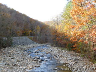 Charlemont Mohawk Trail State Forest