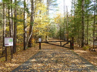 Charlemont Mohawk Trail State Forest