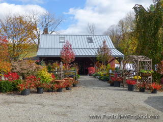 Great Barrington Windy Hill Farm