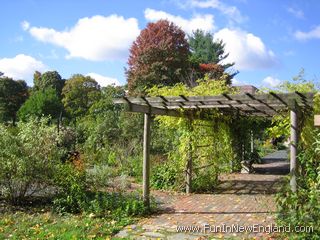 Westfield Grandmothers' Garden at Chauncey Allen Park