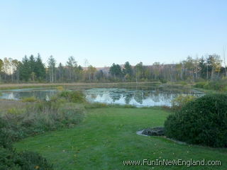 Williamstown Field Farm & The Folly