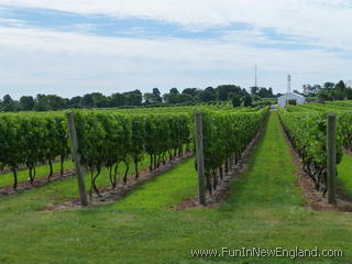 Middletown Newport Vineyards and Winery