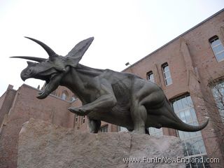 New Haven Yale Peabody Museum of Natural History