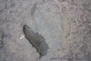 Holyoke Dinosaur Footprints