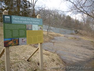 Holyoke Dinosaur Footprints