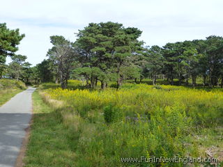 Nantucket Madaket Bike Path