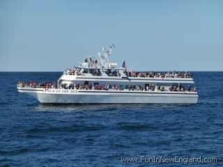 Plymouth Capt. John Boats Whale Watching